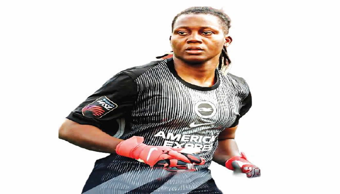 Nnadozie, Okoye Earn Top Honours After Outstanding European Seasons